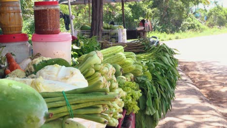 medium shot of vegetables for sale at the side of the street