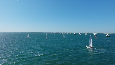 sail boats next to the zeeland bridge during a sunny day