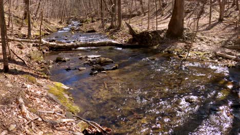 Ein-Wunderschöner,-Sanfter-Gebirgsbach-Im-Zeitigen-Frühjahr,-Nach-Der-Schneeschmelze,-In-Den-Appalachen