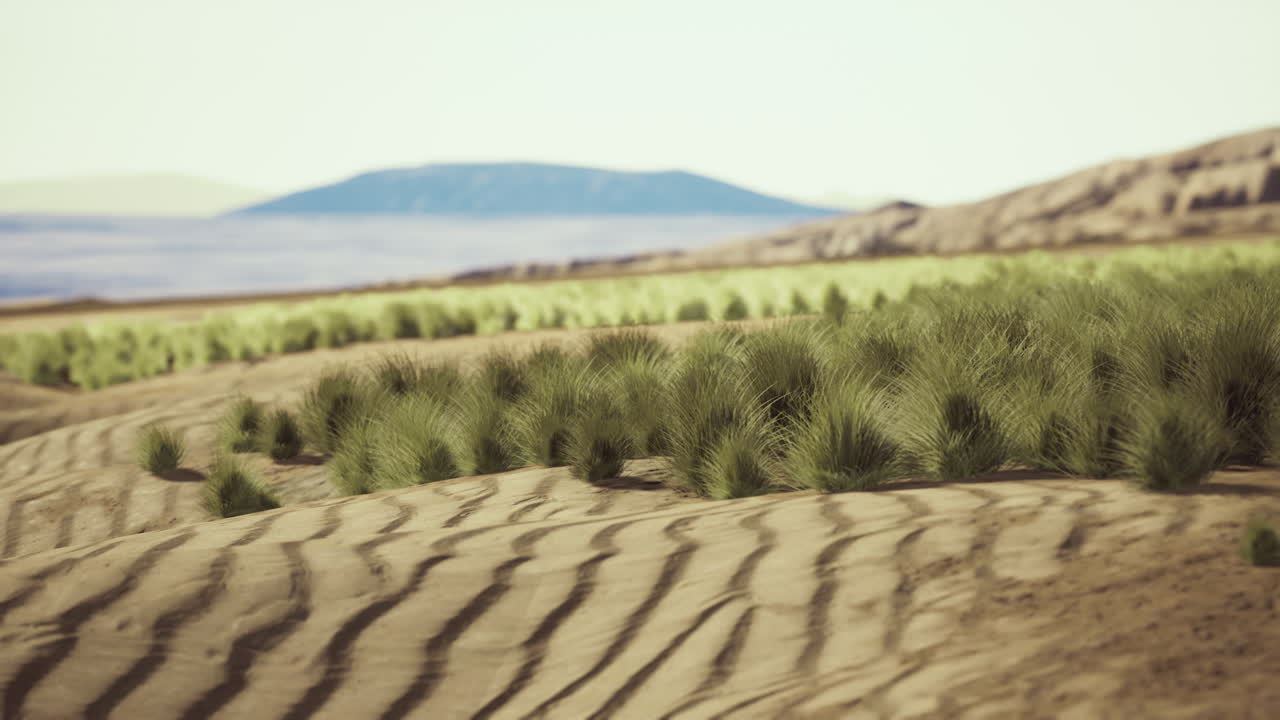 desierto de piedras en el interior de australia