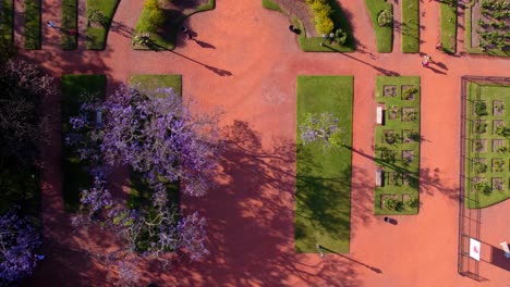 Vista-Aérea-Aérea-Del-Color-Naranja-Del-Suelo-Y-Diseño-De-La-Rosaleda-De-Palermo,-Primavera-En-El-Cono-Sur,-Buenos-Aires,-Argentina