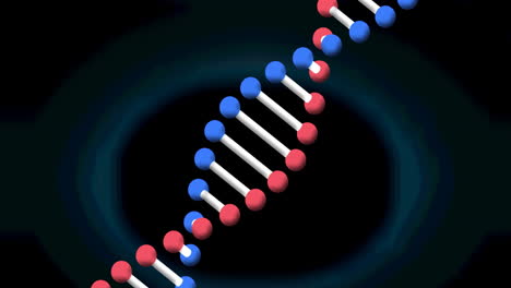 animación de una cadena de adn girando sobre un fondo azul