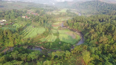 aerial view of lush green valley with rice paddies and river