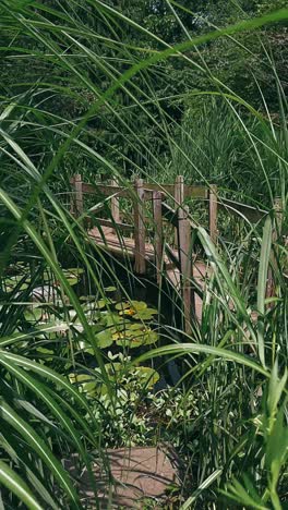 puente de madera sobre un estanque en un jardín exuberante
