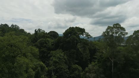 aerial drone view, rancan waterfall nasional park ,summer with beautiful green forest trees and fresh water from the mountain river,serian,sarawak,borneo.