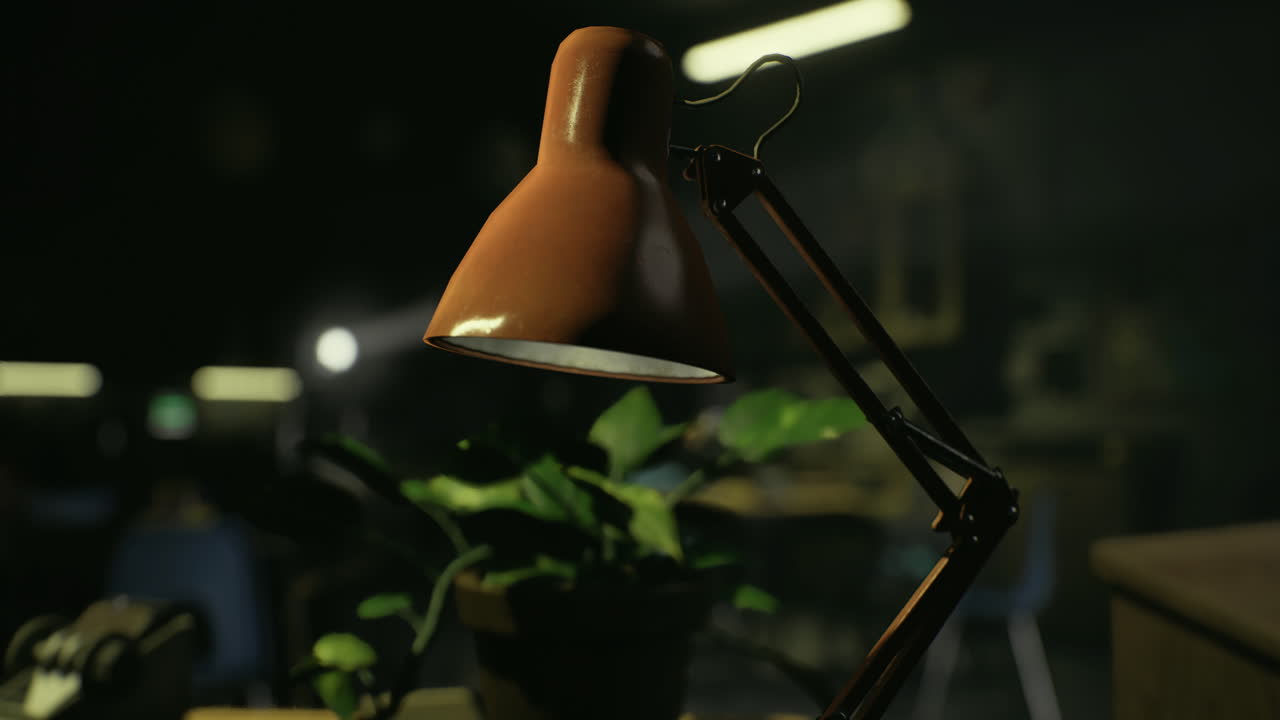 Desk lamp illuminating a plant in a dimly lit workspace at night