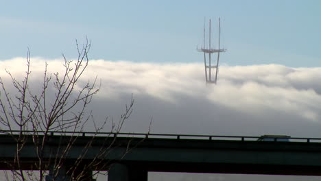 bridge view with tree and fog covering tall antennas in the background