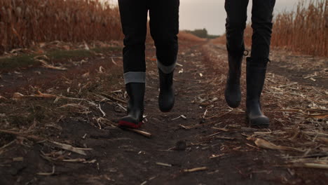 two farmers in boots walk between fields of corn