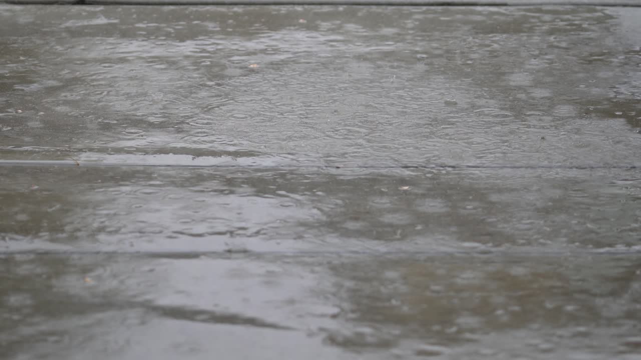 폭우의 지상 전망; 4k 클로즈업