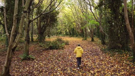 Forest-trail-of-fall-autumn-leaves-brown-orange-and-green-reveals-young-man-walking-away-wearing-yellow-windbreaker-coat-and-camouflage-cap