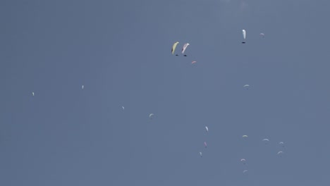 competición de parapente. muchos parapentes volando en el cielo