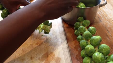 slow motion of man of african ethnicity plucking brussel sprouts from a stem