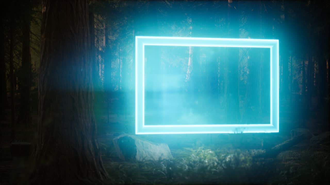 밤의 숲에서 네온 빛나는 직사각형 프레임