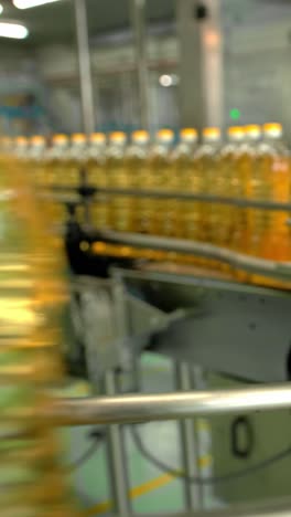 bottling oil on a conveyor belt