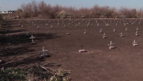 graves are marked with small white crosses