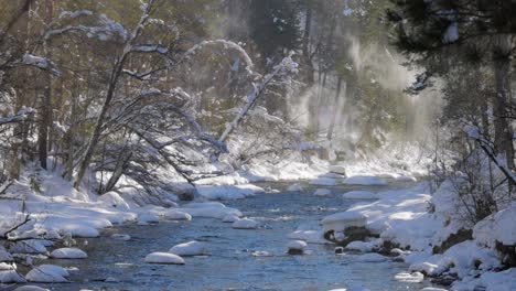 hermoso bosque de nieve en invierno.