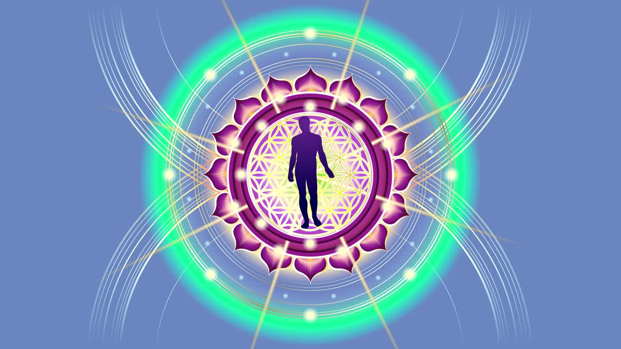 el hombre dentro de la flor de la vida