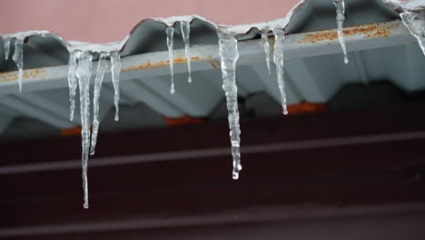 close-up of metal roof edge covered with long, melting icicles, emphasizing intricate frozen patterns and gradual thawing process against a muted background