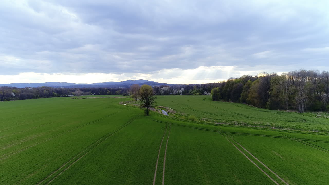 Fields With Various Types Of Agriculture 4K 13