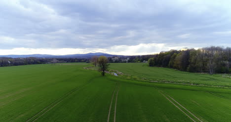 Fields-With-Various-Types-Of-Agriculture-4K-13