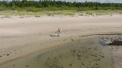 aerial view with a young longhaired girl riding a bike on the sandy beach, sunny day, white sand beach, active lifestyle concept, wide tracking drone shot