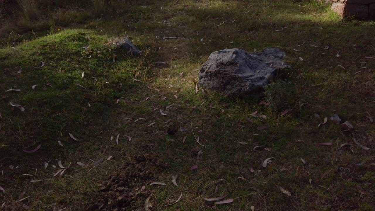 inspeccionando la impresionante vista de cusilluchayoc el templo de los monos en el distrito de cusco, peru - pan up