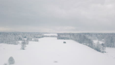 chilling cold rural winter landscape in northern scandinavia, early grey overcast morning