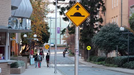 people walking near state library, melbourne