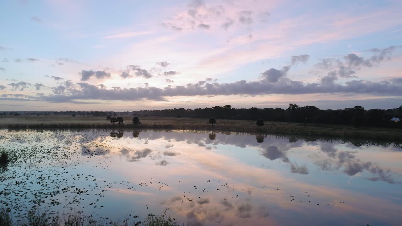 dolly aéreo hacia adelante de los humedales de florida reflejando las aguas quietas al amanecer