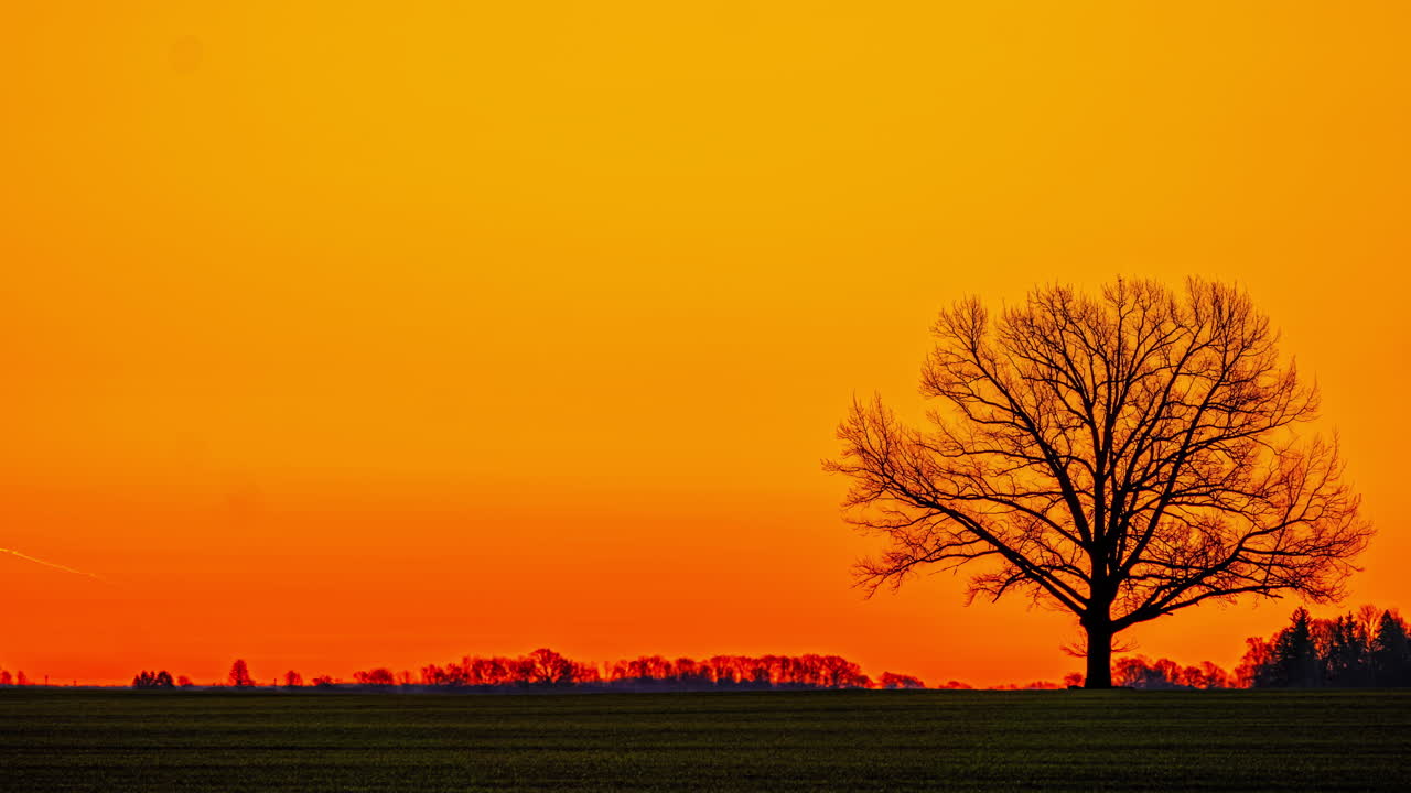 해가 지는 시골 풍경 의 벌거벗은 나무 들