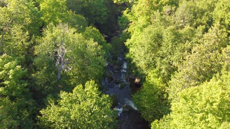 Disparo-De-Un-Dron-Desde-Arriba-Descendiendo-Lentamente-Y-Volando-A-Través-De-Las-Orillas-Del-Arroyo-En-La-Bahía-Georgiana,-Ontario,-Canadá