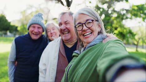 Selfie-En-El-Parque,-Cara-Y-Amigos-Felices-Mayores