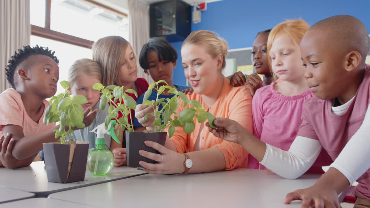In school, female teacher and students examining plants together in classroom activity