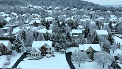 suburban community in winter snow