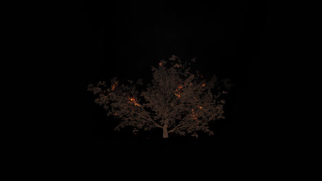 burning tree at night