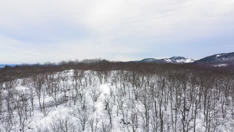 Elevación-Aérea-Más-Allá-De-La-Cima-De-Una-Colina-Cubierta-De-Nieve-Para-Revelar-Campos-Entre-Un-Interminable-Bosque-De-Invierno