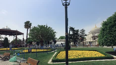 istanbul, beautiful blue mosque also named sultanahmed with garden full of colorful flowers