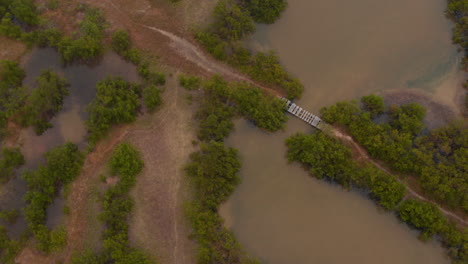 Nach-Unten-Geneigte-Aufnahmen-Von-Feuchtgebieten.-Luftaufnahme-Des-Weges-Mit-Plankenbrücke,-Die-Durch-Wassergesättigten-Boden-Führt.-Naturschutzgebiet.-Rio-Lagartos,-Mexiko.