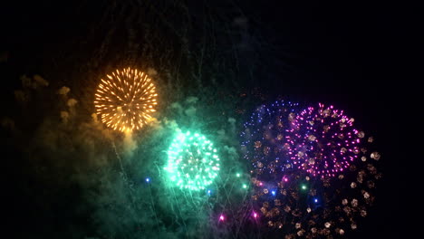 Spectacular-Colorful-Fireworks-Against-Black-Night-Sky.-Static