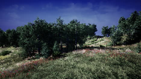 beautiful-valley-with-green-trees