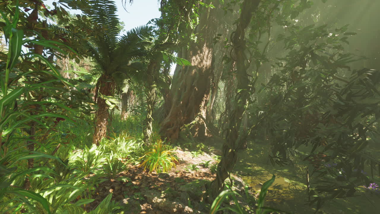 Lush jungle setting in china with dense foliage and vibrant greenery