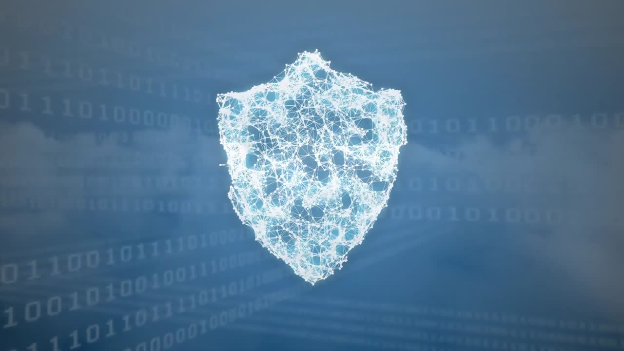 Digital composite of a digital shield and binary codes