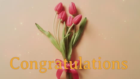 animación de felicitaciones texto y estrellas sobre un ramo de rosas