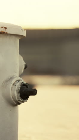 close-up of a white fire hydrant with a black valve