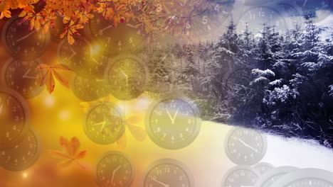 otoño e invierno