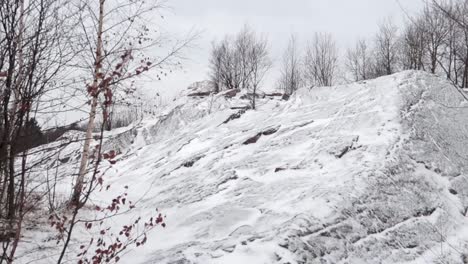 truck-shot-right-down-of-a-snowy-landscape-with-small-trees-with-red-leaves,-spruce-tree-and-stones-covered-in-snow