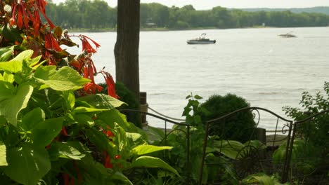 Nahaufnahme-Von-Roten-Blumen-Und-Grünen-Blättern,-Die-Im-Wind-Wehen,-Mit-Booten,-Die-Sich-Im-Hintergrund-Flussaufwärts-Und-Flussabwärts-Bewegen