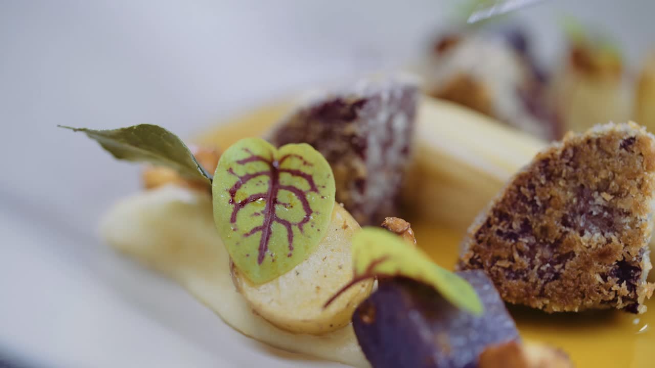 CLOSE UP: Chef puts micro green, baby leaf on dish. Fine dining plate