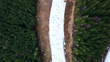 Luftaufnahme-Von-Oben-Nach-Unten-Von-Skifahrern,-Die-In-Der-Nähe-Des-Immergrünen-Waldes-Dolni-Morava-Bergab-Fahren