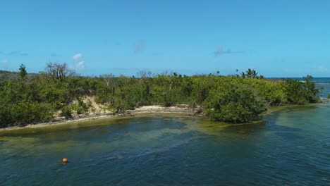 zumbido hacia la reserva de las cabezas de san juan en fajardo puerto rico
